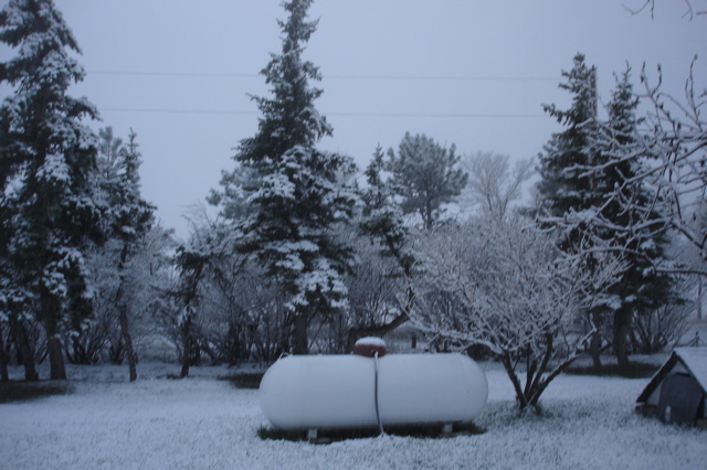 April Snow at Sirucek