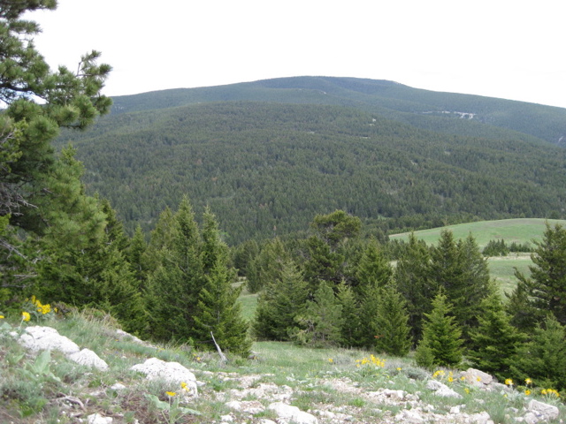 Windy Point lookin' East