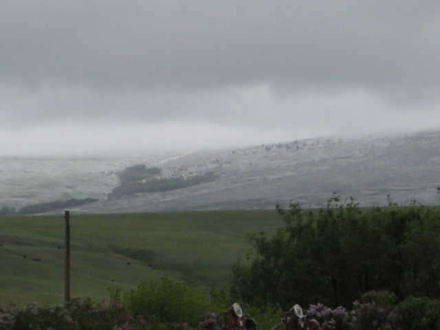 Snow level early June