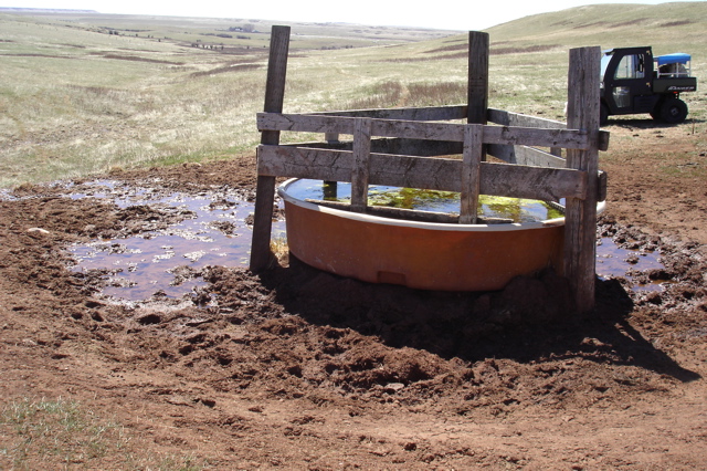 Red Dirt Spring Tank