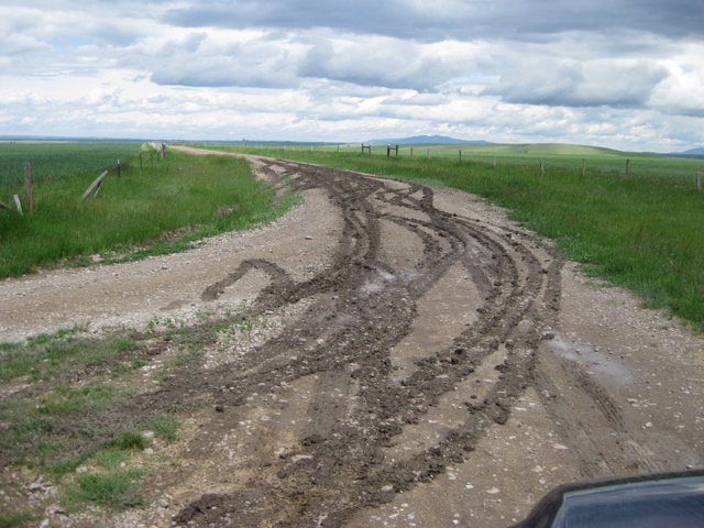 Nancy makes tracks