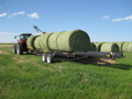 Picking bales