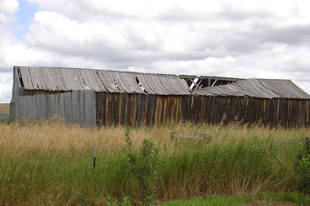 Old shed