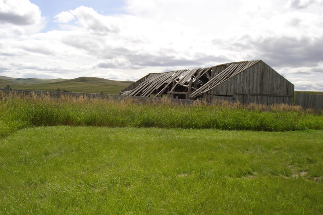 Old shed NE side