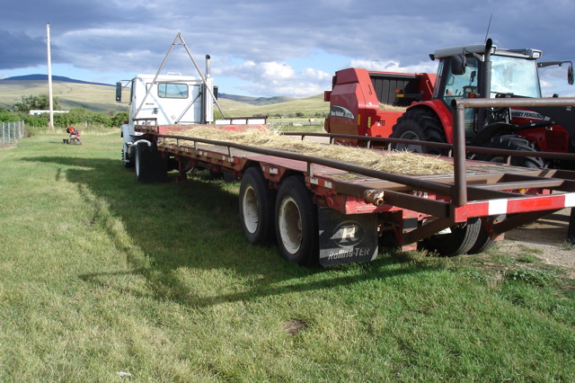 hay trailer & semi trailer