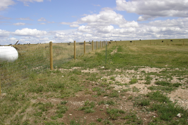 Trailer Site New fence