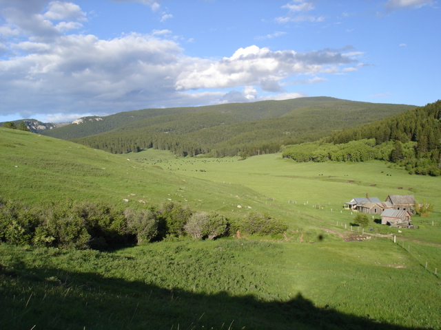 DSC02854