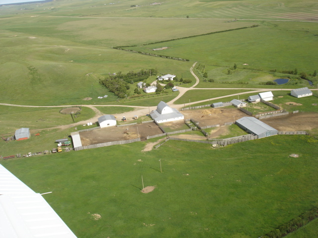 DSC02954