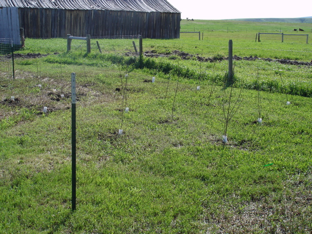 DSC02790