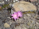 DSC02908