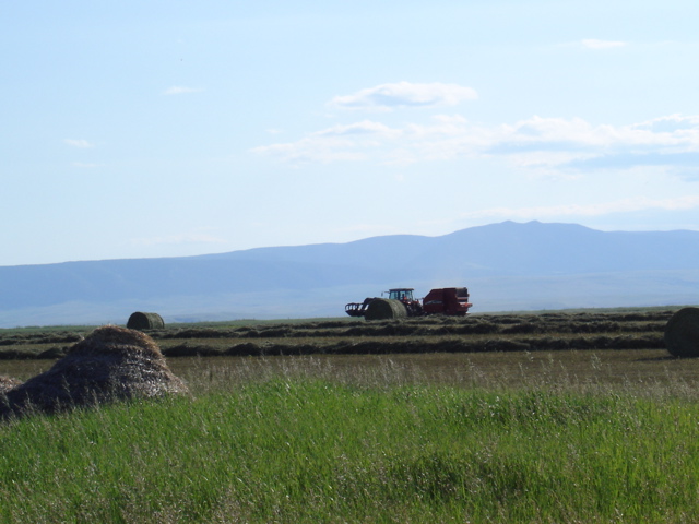 MF6480 & rd baler