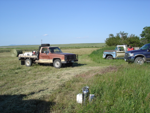 82Chev fixed