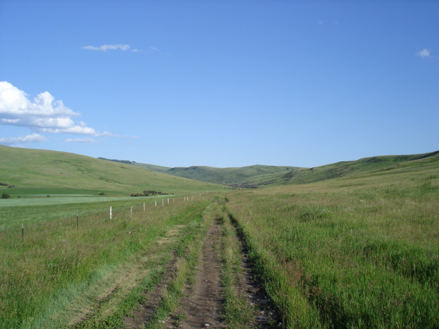 Road at Sigafoos