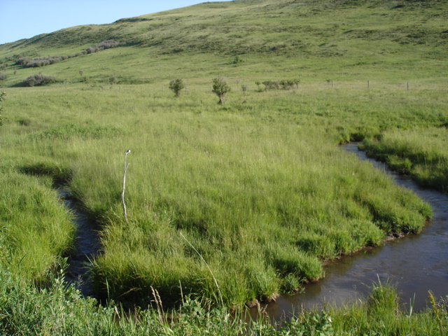 Creek below corral