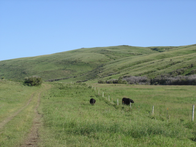 Above corral