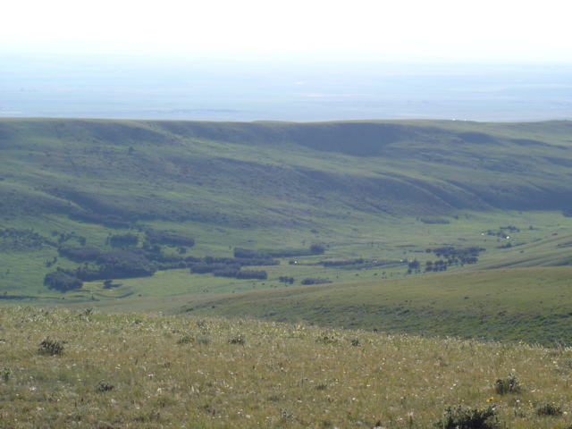 Corral from above