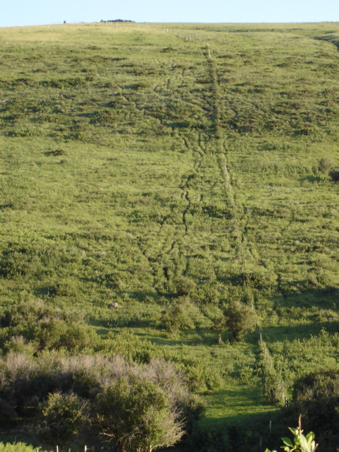 Fence up to monument