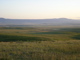 Wolf Dam