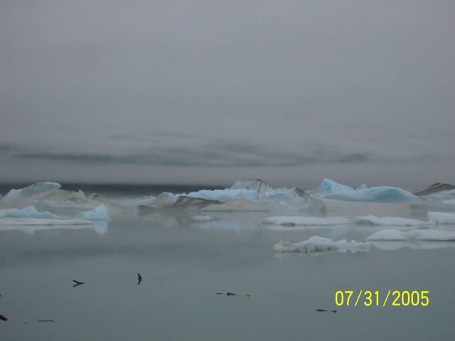 040_40.JPG