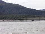 PICT0090