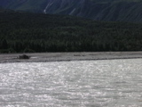 PICT0091